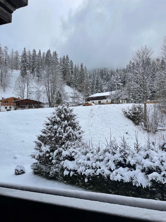 W6 Haus Ganghofer Lägenhet Leutasch Exteriör bild